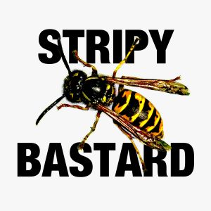Murder, Midges & Manky Wasps